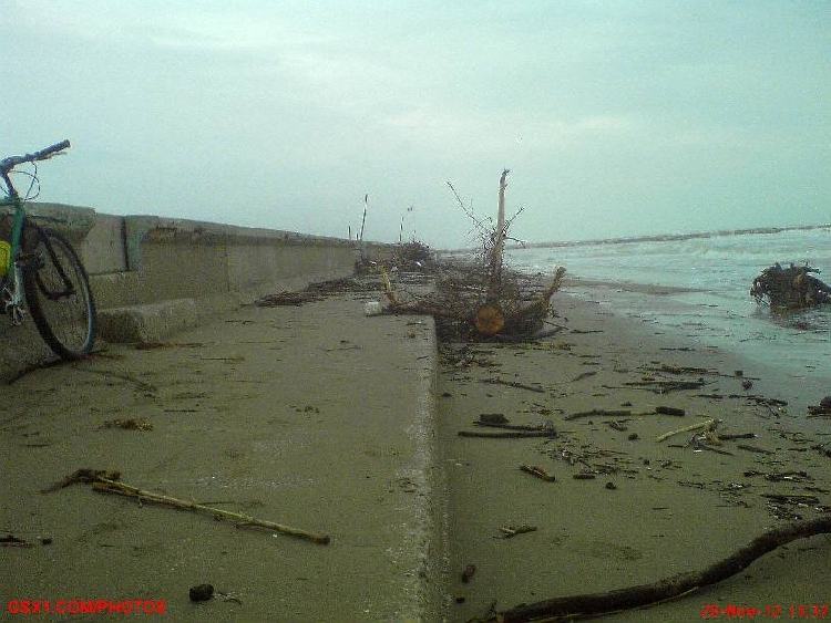 Ceppi-e-detriti-invernali.jpg