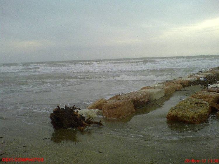Ceppo-portato-dal-mare.jpg