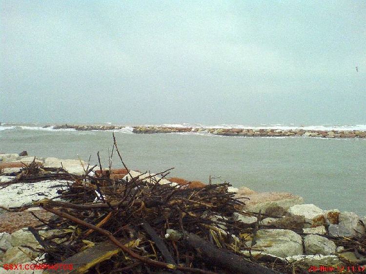 Detriti-portati-dal-mare.jpg