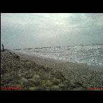 Terra-dolce-terra.jpg<br>323.78 KB