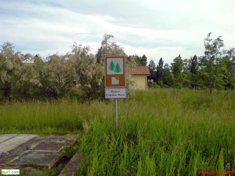 Bosco-di-Eraclea-Mare.jpg