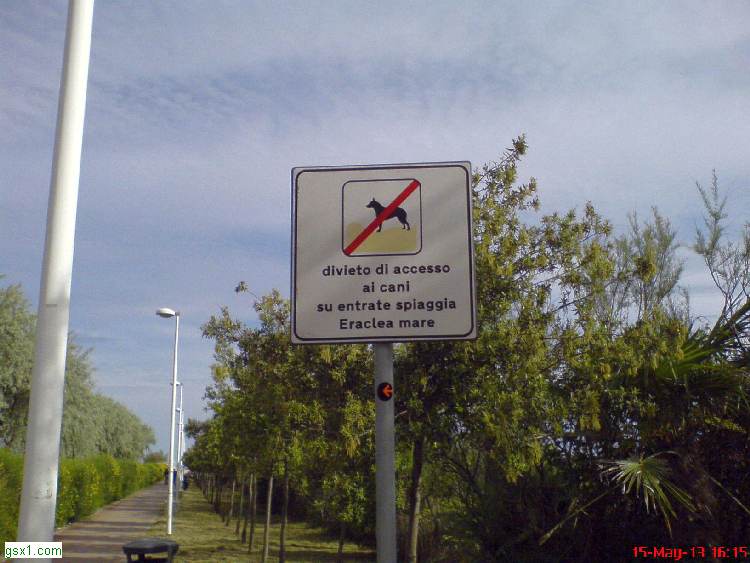  No-Cani.jpg