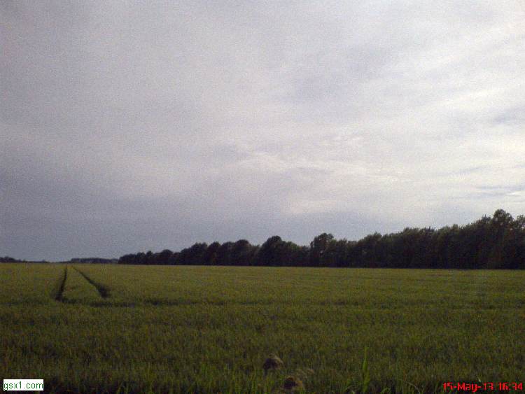 Tracce-di-Trattore.jpg