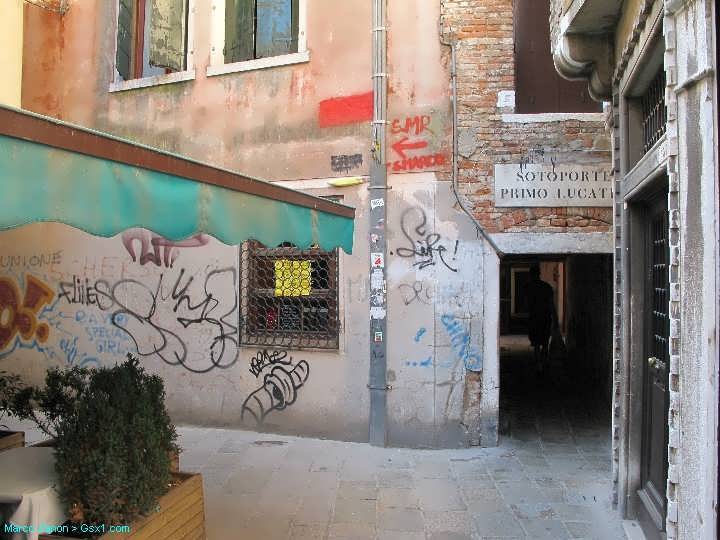 harmful-behaviour-to-Venice.jpg