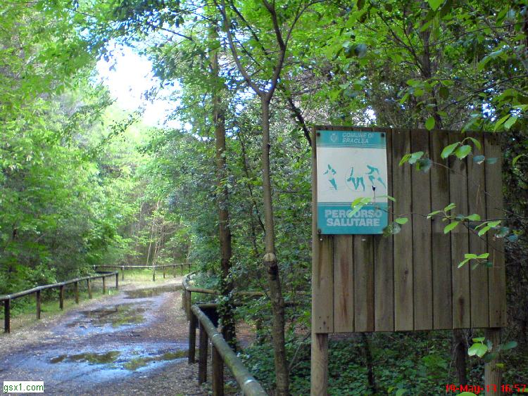 In-pineta-da-via-Marinella.jpg
