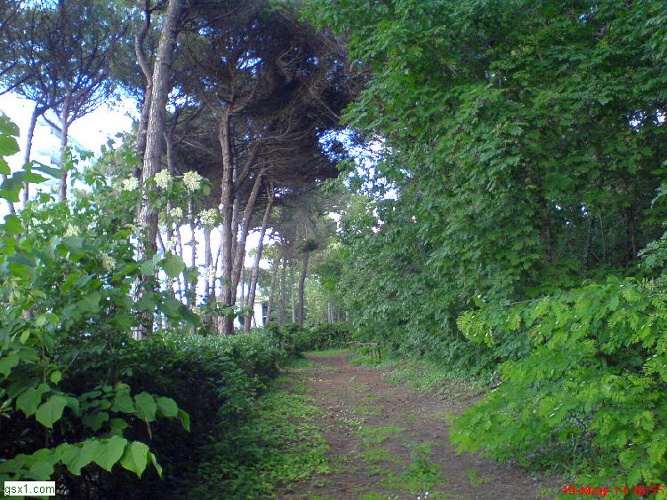 Pace-e-verde.jpg