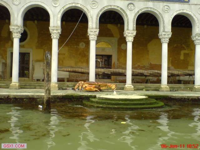 huge-plastic-crab-in-venice-water-taxy.jpg
